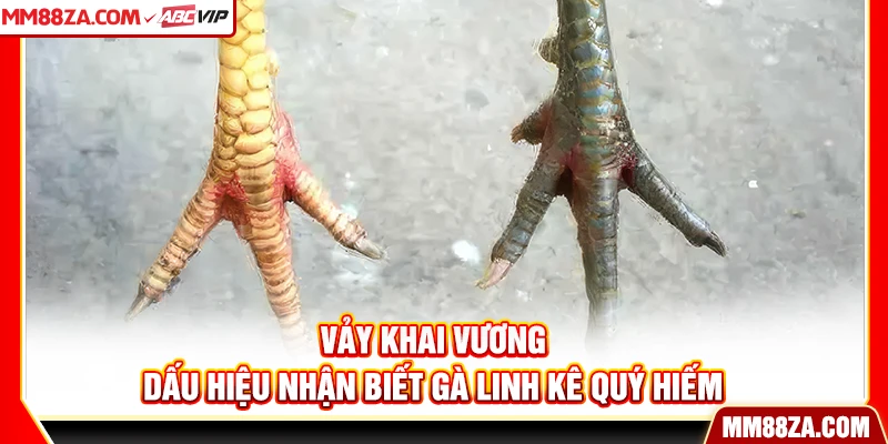 Vảy Khai Vương