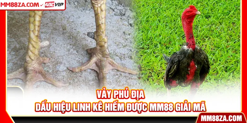 Vảy Phủ Địa