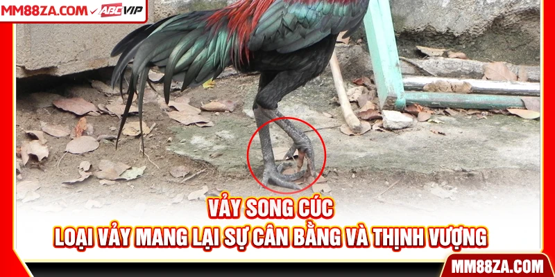 Vảy Song Cúc