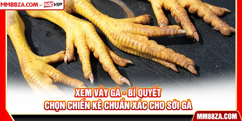 Xem Vảy Gà